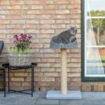 Trixie Krabpaal Amalia Outdoor Grijs - 48 x 48 x 88 cm