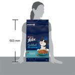 Felix Droog Dubbel Zo Lekker Zalm / Vis / Rode Biet - 4 kg