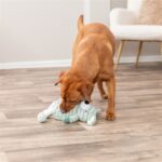 Trixie Hond Met Strepen Pluche Groen - 34 cm