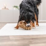 Trixie Capibara Pluche Bruin - 23 cm