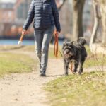 Trixie Sleeplijn Met Rubber Bekleed Zonder Handlus Oranje - 5 Mtrx1,5 cm