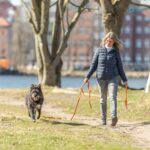 Trixie Sleeplijn Met Rubber Bekleed Zonder Handlus Oranje - 5 Mtrx1,5 cm