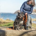 Trixie Sleeplijn Met Rubber Bekleed Zonder Handlus Oranje - 15 Mtrx1,5 cm