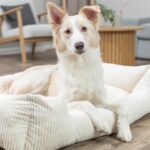 Trixie Vital Hondenmand Jonna Hoekig Ribfluweel Creme - 100 x 70 cm