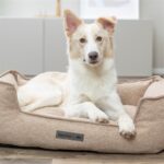 Trixie Vital Hondenmand Liano Orthopedisch Hoekig Zand - 100 x 80 cm