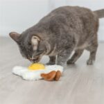 Trixie Gebakken Ei Xxl Pluche Met Amerikaanse Catnip - 18 cm