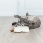 Trixie Gebakken Ei Xxl Pluche Met Amerikaanse Catnip - 18 cm