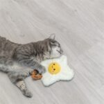 Trixie Gebakken Ei Xxl Pluche Met Amerikaanse Catnip - 18 cm
