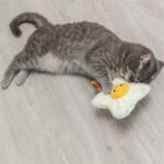 Trixie Gebakken Ei Xxl Pluche Met Amerikaanse Catnip - 18 cm