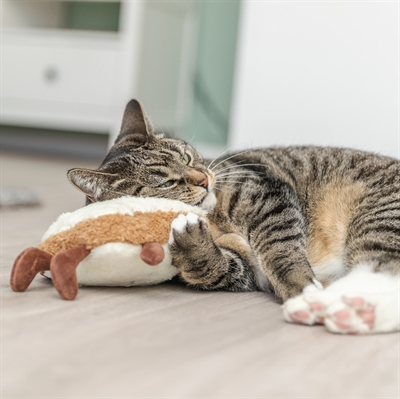 Trixie Toast Xxl Pluche Met Amerikaanse Catnip - 18 cm