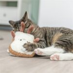 Trixie Toast Xxl Pluche Met Amerikaanse Catnip - 18 cm