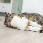 Trixie Toast Xxl Pluche Met Amerikaanse Catnip - 18 cm