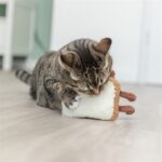 Trixie Toast Xxl Pluche Met Amerikaanse Catnip - 18 cm