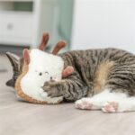 Trixie Toast Xxl Pluche Met Amerikaanse Catnip - 18 cm