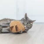 Trixie Pinda Xxl Pluche Met Amerikaanse Catnip - 20 cm