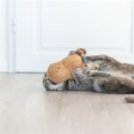 Trixie Pinda Xxl Pluche Met Amerikaanse Catnip - 20 cm