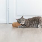 Trixie Pinda Xxl Pluche Met Amerikaanse Catnip - 20 cm