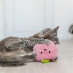Trixie Perzik Xxl Pluche Met Amerikaanse Catnip - 20 cm