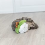 Trixie Bloemkool Xxl Pluche Met Amerikaanse Catnip - 18 cm