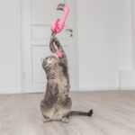 Trixie Kattenhengel Telescopisch Grote Katten Met Flamingo Roze - 106 cm