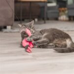 Trixie Kattenhengel Telescopisch Grote Katten Met Flamingo Roze - 106 cm