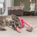 Trixie Kattenhengel Telescopisch Grote Katten Met Flamingo Roze - 106 cm