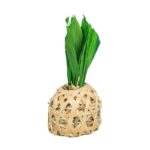 Trixie Ananas Bamboe Met Maisbladeren En Hooi - 6,5 x 6,5 x 14 cm