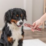 Trixie Premio Bacon Strips Met Eendenborst En Rundvlees - 80 g