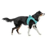 Trixie Hondentuig Urbanvest Mesh Aqua - 31-34 x 1,5 cm - Xxs