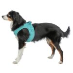 Trixie Hondentuig Urbanvest Mesh Aqua - 38-41 x 1,5 cm - Xs