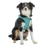 Trixie Hondentuig Urbanvest Mesh Aqua - 41-44 x 1,5 cm - Xs-S