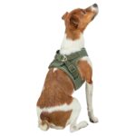 Trixie Hondentuig Urbanvest Mesh Olijfgroen - 34-37 x 1,5 cm - Xxs-Xs