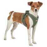 Trixie Hondentuig Urbanvest Mesh Olijfgroen - 41-44 x 1,5 cm - Xs-S