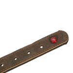 Zolux Expert Halsband Hond Premium Leer / Neopreen Bruin - 50 x 2 cm
