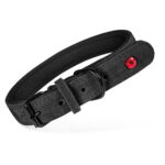 Zolux Expert Halsband Hond Premium Leer / Neopreen Zwart - 50 x 2 cm
