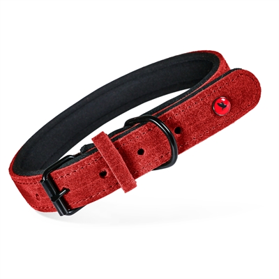457416.jpg Zolux Expert Halsband Hond Premium Leer / Neopreen Rood - 60 x 2,5 cm