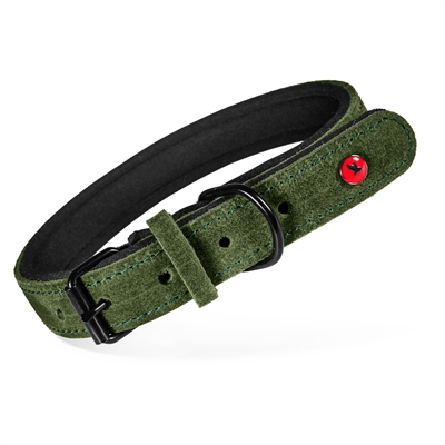457421.jpg Zolux Expert Halsband Hond Premium Leer / Neopreen Groen - 40 x 1,6 cm
