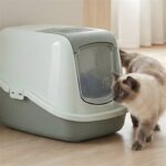 Savic Kattenbak Nestor Mintgroen / Eucalyptus Groen - 56 x 39 x 38,5 cm