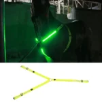USB-oplaadbare LED-borstplaat voor paarden - Groen
