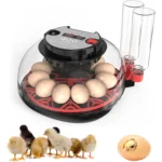 Automatische eierbroedmachine voor 12 eieren - Afbeelding 2