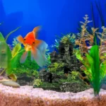 Aquariumornament berglandschap met schuilgrot - Afbeelding 4