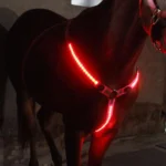 USB-oplaadbare LED-borstplaat voor paarden - Roze
