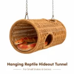Hangende reptielentunnel met twee openingen - Afbeelding 5