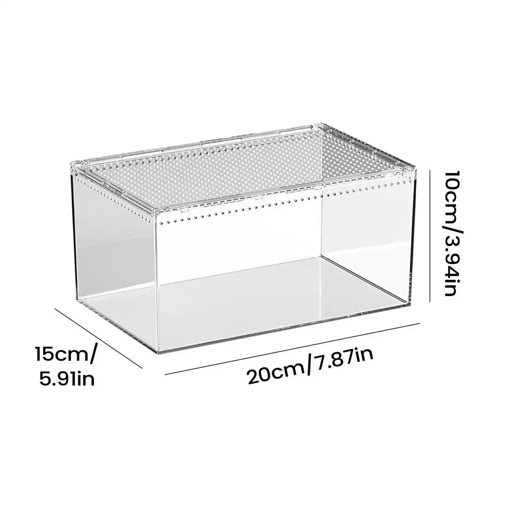 S85c0b4194d074e6dbe56e381a50177174-1.webp Terrarium voor spinnen - Medium - Afbeelding 1