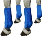 Neopreen beenbeschermers voor paarden – Blauw - L