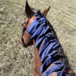 Beschermhoes voor de manen van een paard - Afbeelding 3
