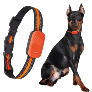 4G GPS-halsband voor huisdieren, productfoto uit de aankomende collectie