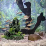 Aquariumornament berglandschap met schuilgrot - Afbeelding 5