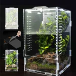 Helder kunststof terrarium voor reptielen en insecten