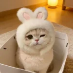 Kattenhoofdbedekking van katoen – H - Afbeelding 2